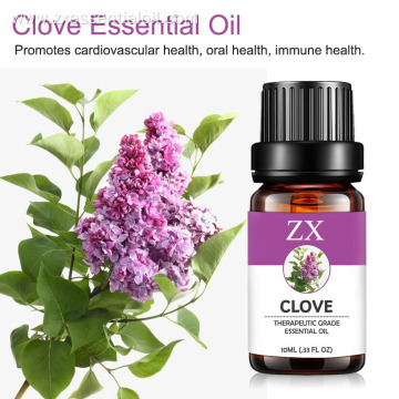 100% pure natural clove essential oil for teeth